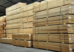 Công ty CPTM Tân Phú chuyên bán gỗ thông xẻ tại Hồ Chí Minh. Liên hệ Mr Phong 098.263.1199